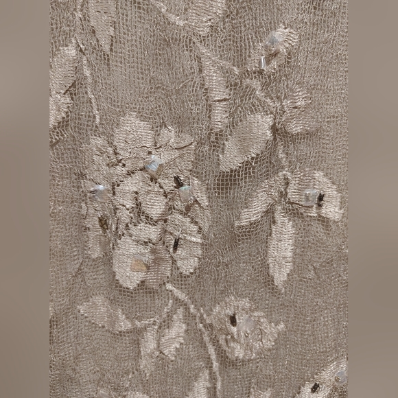 Cynthia Rose tan sequin and beaded scarf - Picture 3 of 6